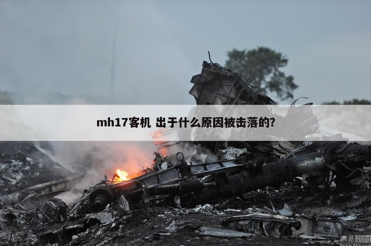 mh17客机 出于什么原因被击落的？