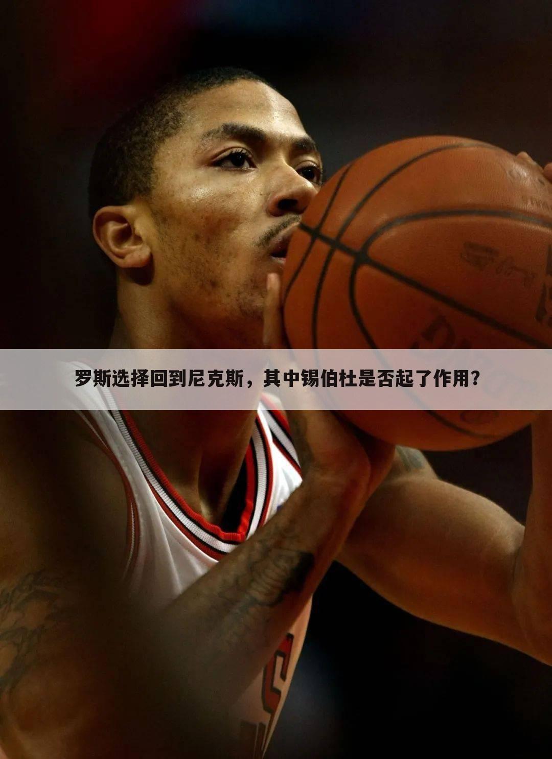 罗斯选择回到尼克斯，其中锡伯杜是否起了作用？