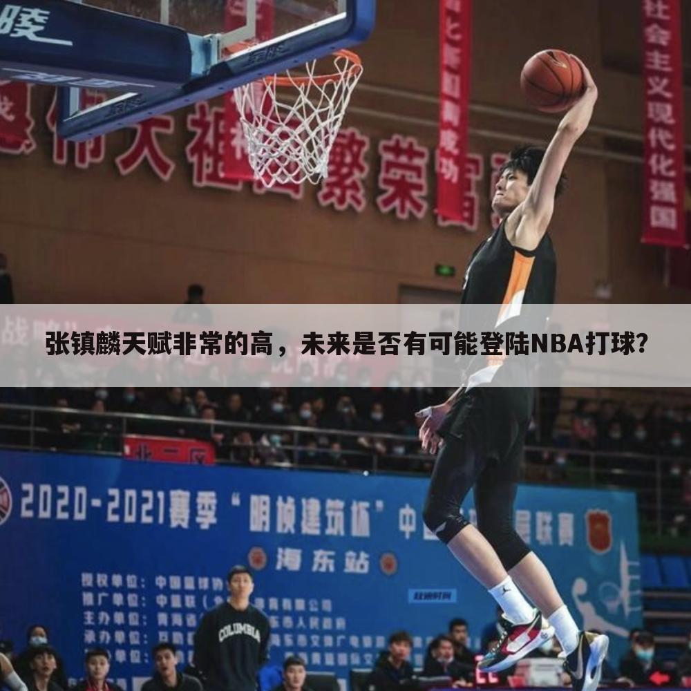 张镇麟天赋非常的高，未来是否有可能登陆NBA打球？