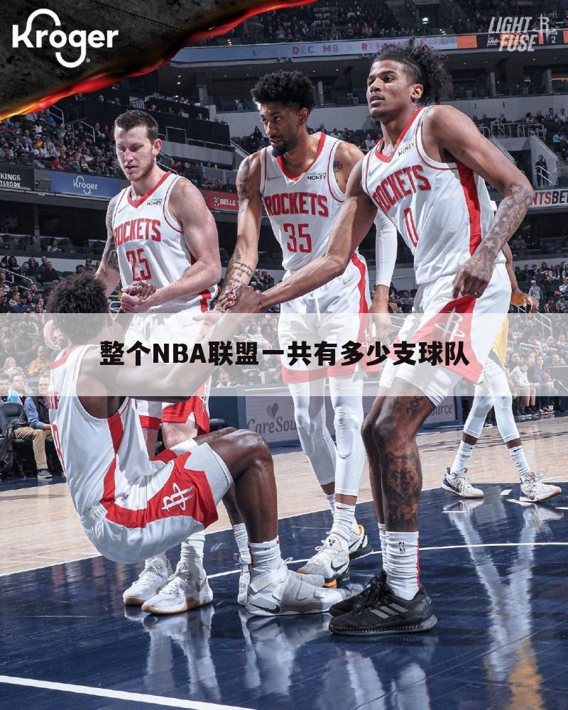 ┏ nba发展 ┛nba发展联盟有多少支球队