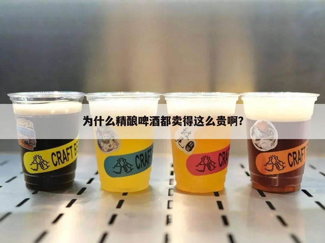 为什么精酿啤酒都卖得这么贵啊？