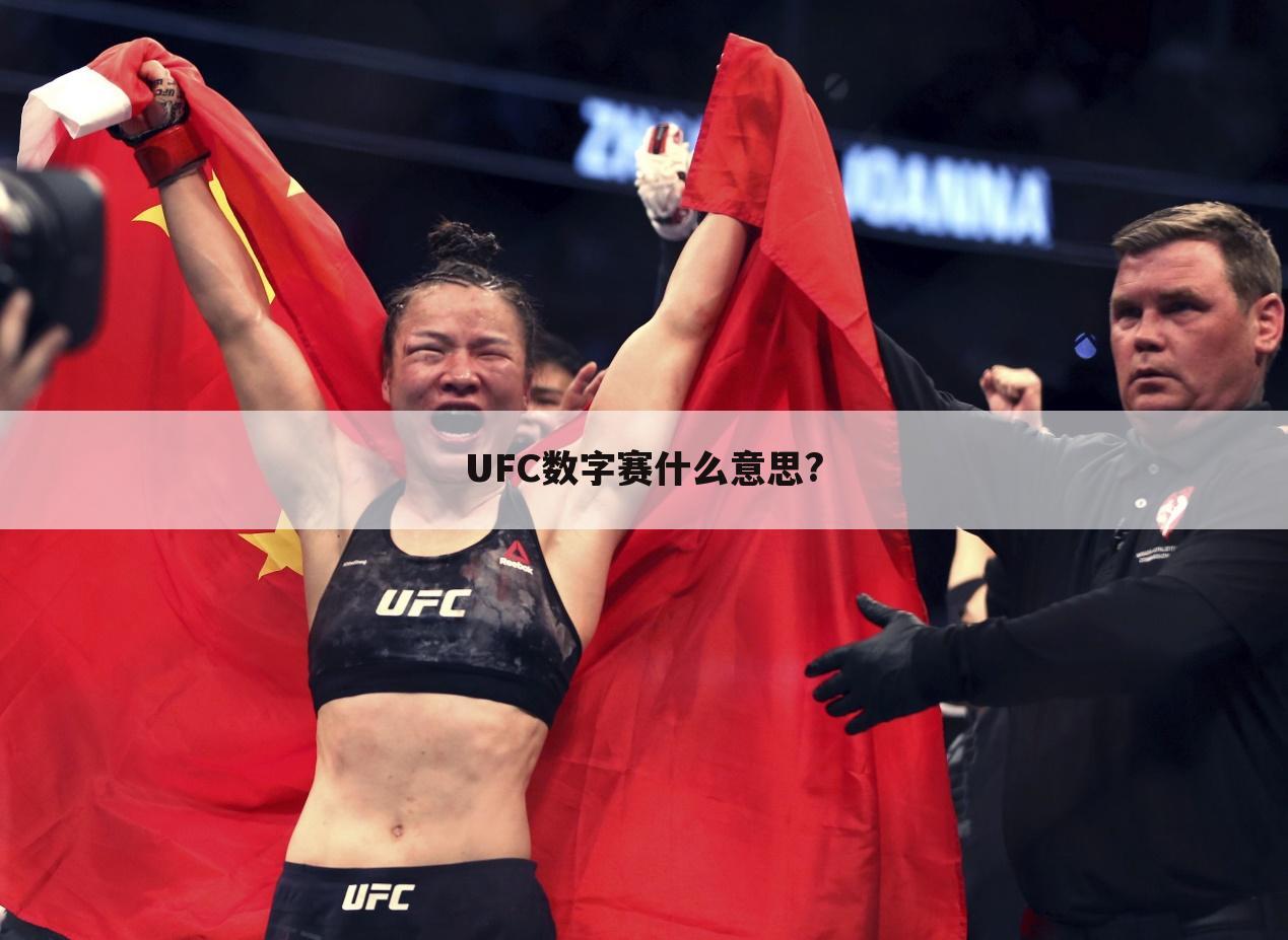 「ufc155」ufc155什么意思