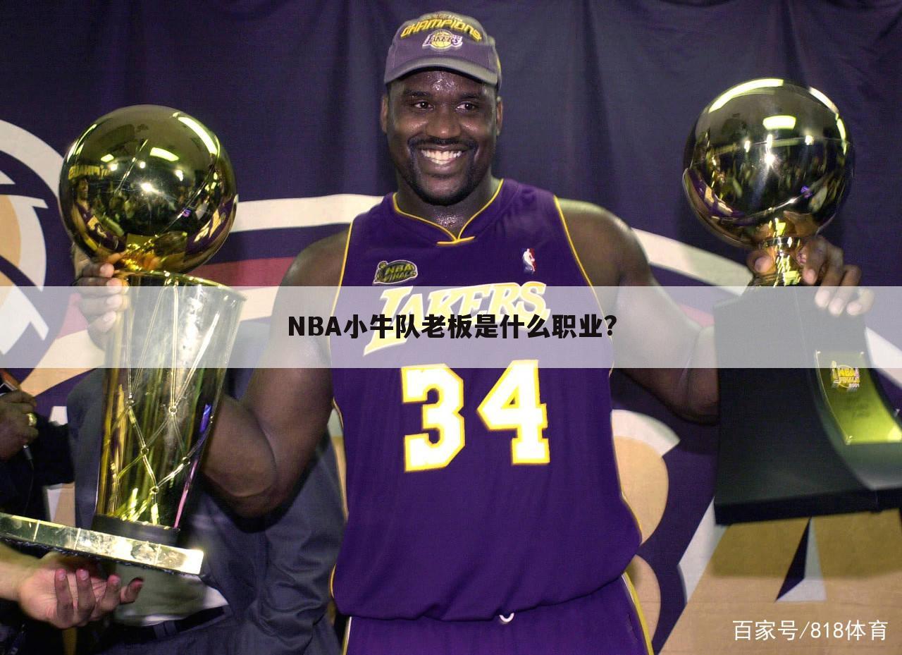 NBA小牛队老板是什么职业?