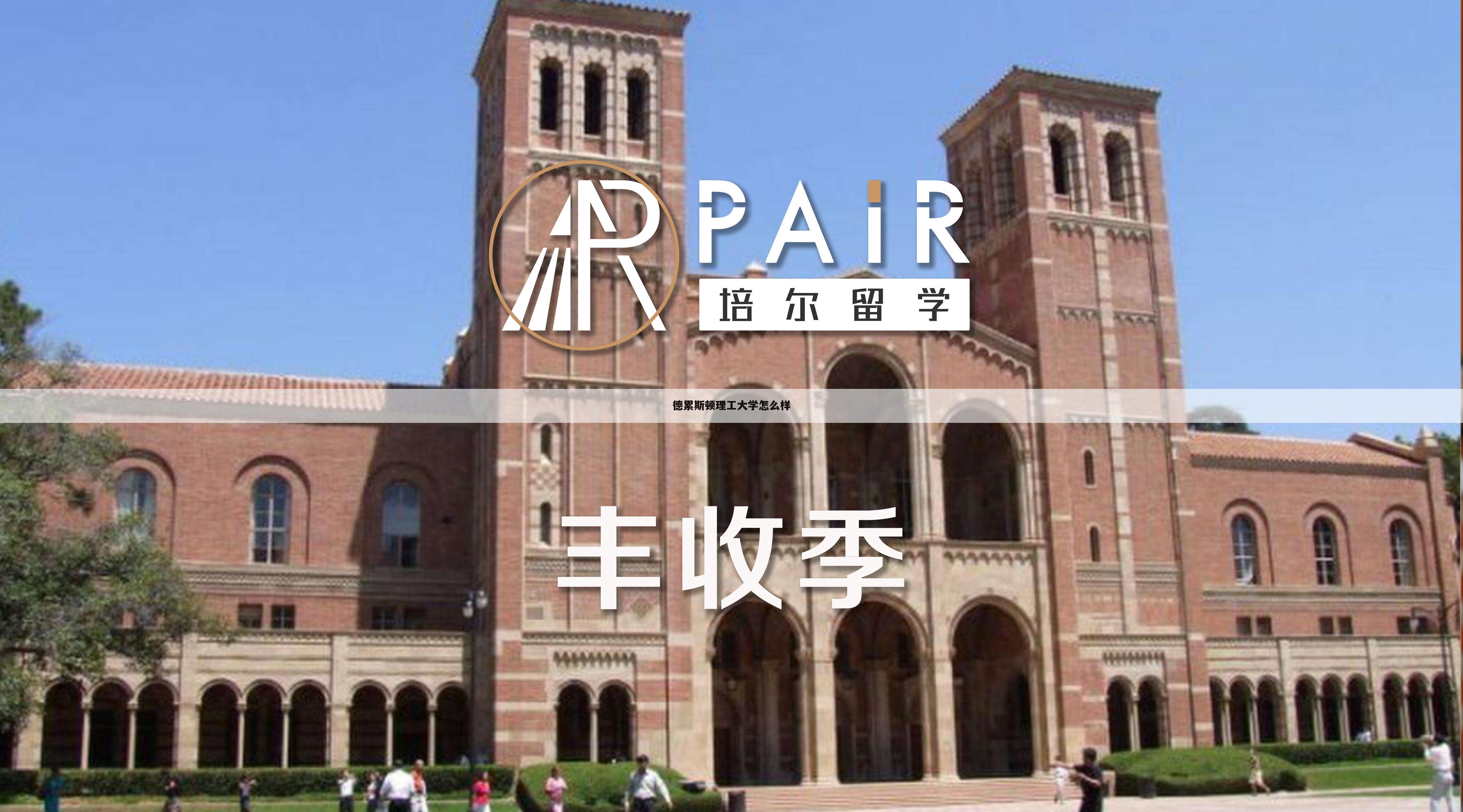 德累斯顿理工大学怎么样