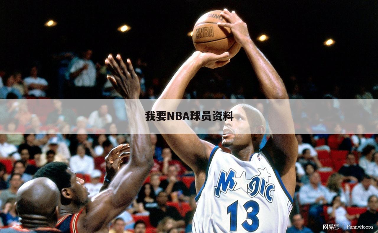 我要NBA球员资料