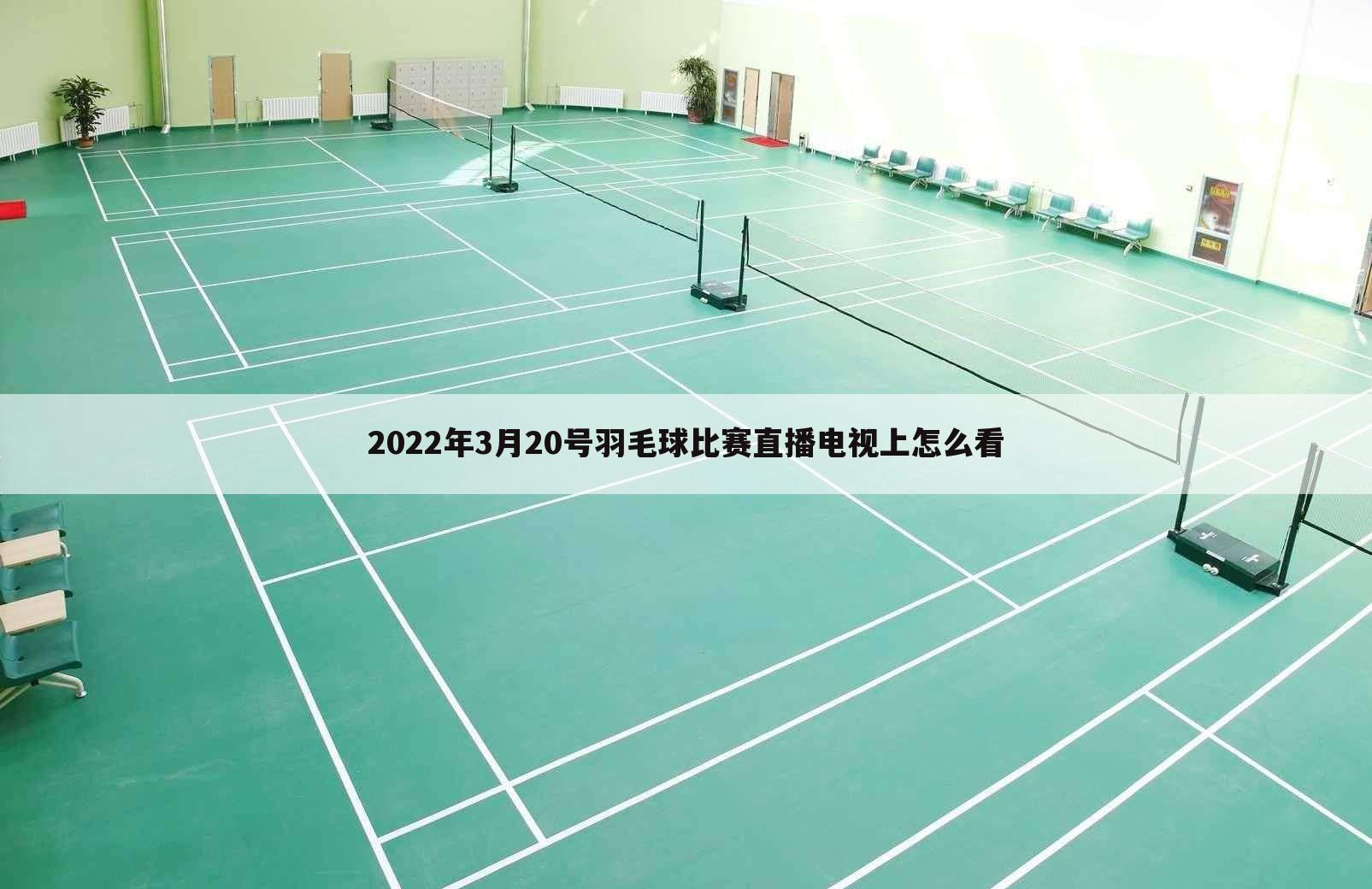 2022年3月20号羽毛球比赛直播电视上怎么看