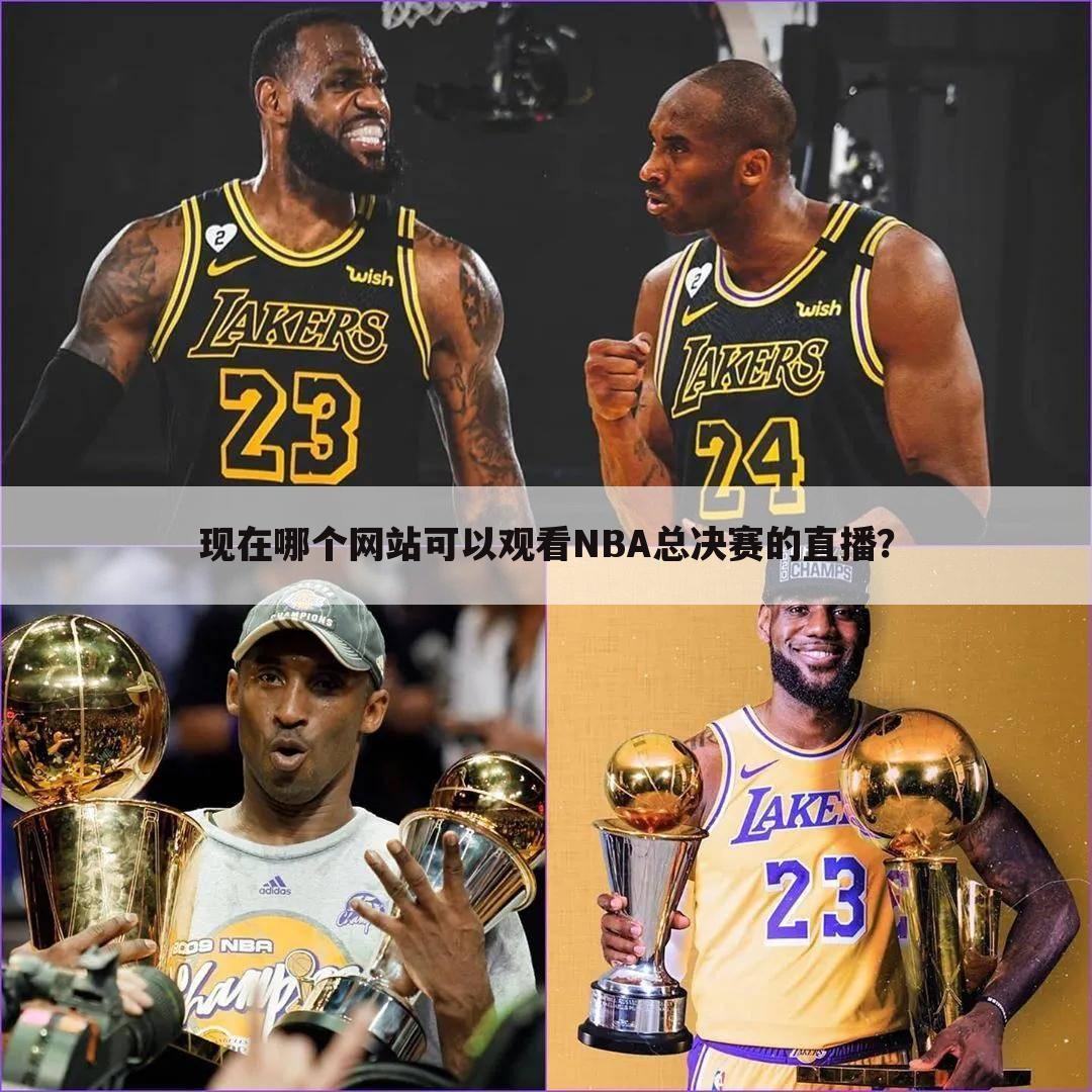 现在哪个网站可以观看NBA总决赛的直播？