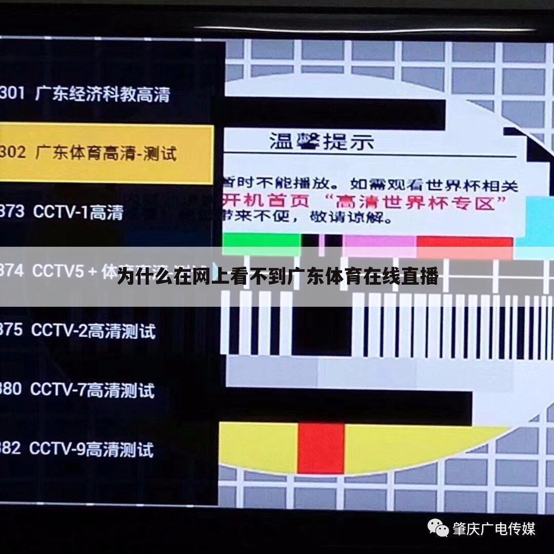 为什么在网上看不到广东体育在线直播