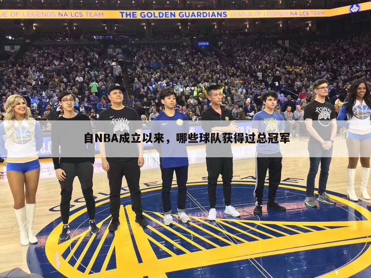 自NBA成立以来，哪些球队获得过总冠军