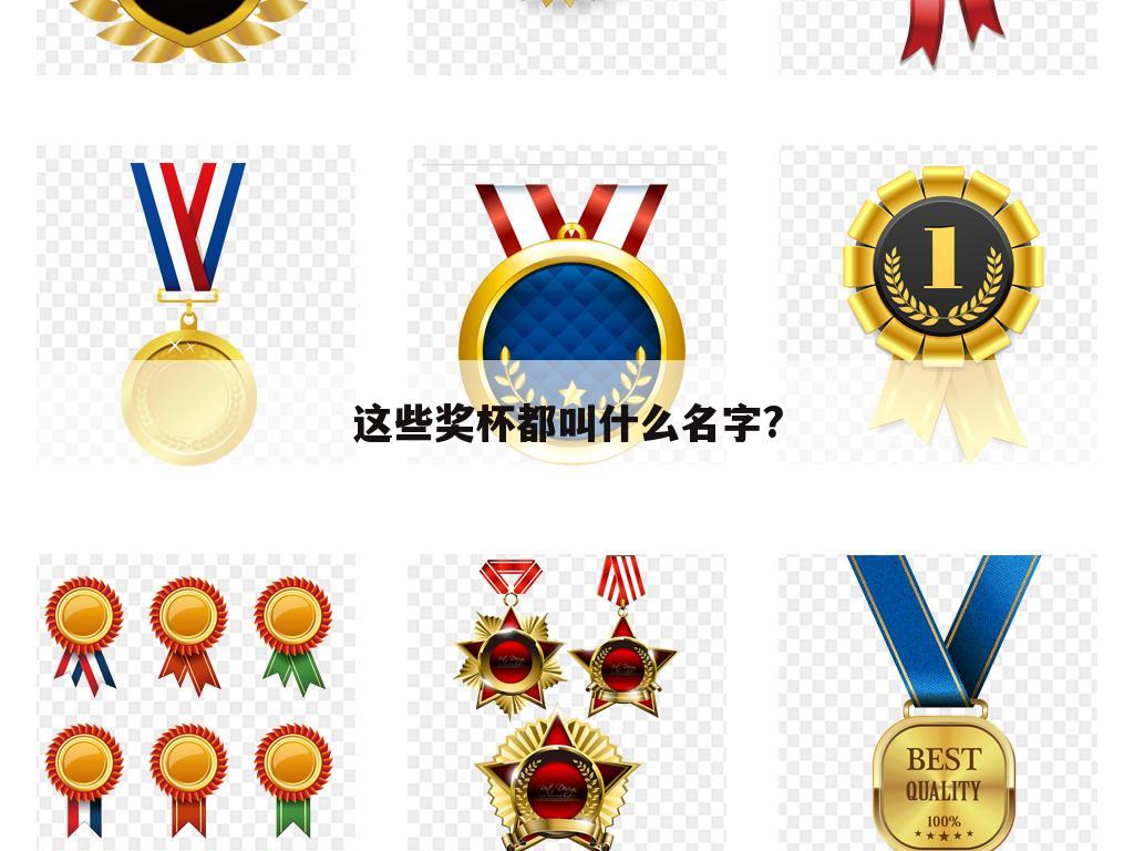 这些奖杯都叫什么名字?