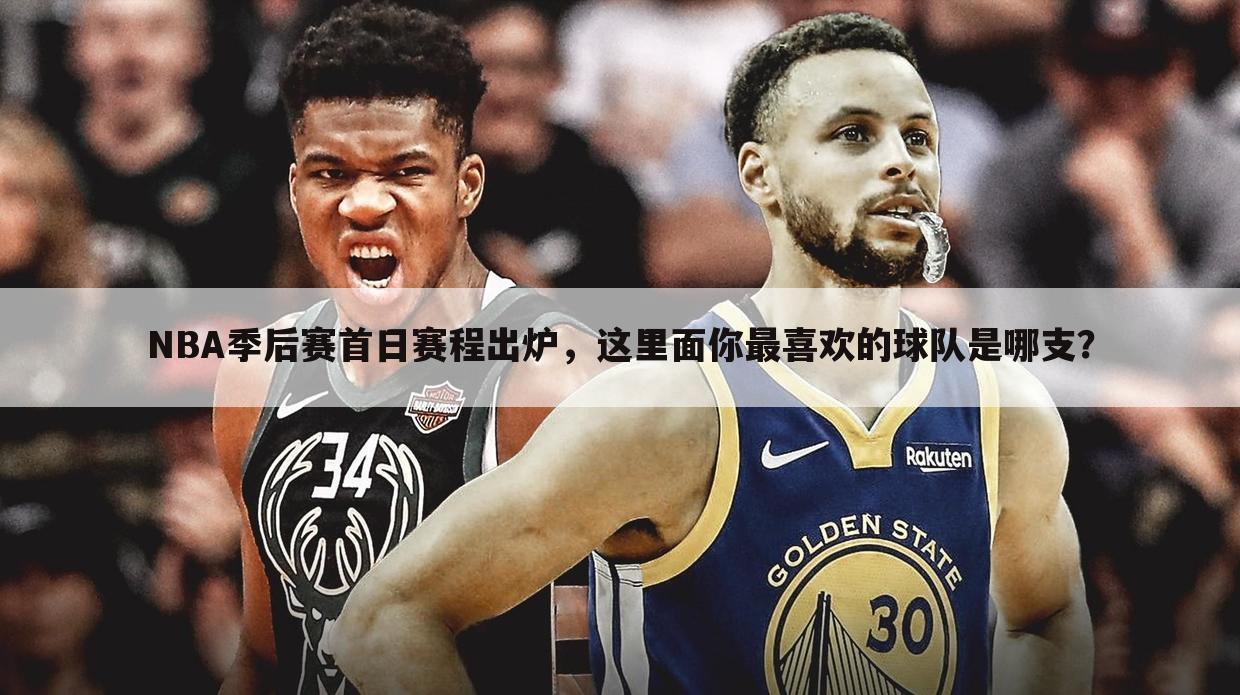 NBA季后赛首日赛程出炉，这里面你最喜欢的球队是哪支？