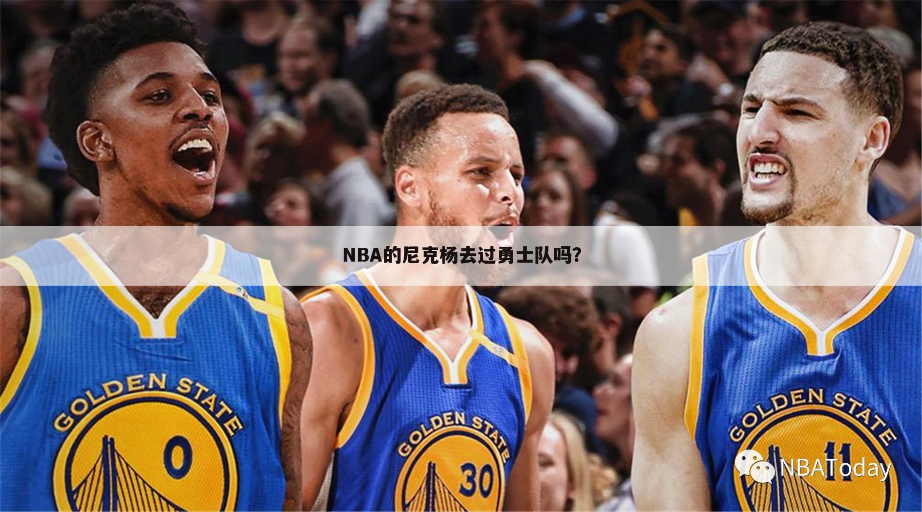 NBA的尼克杨去过勇士队吗？