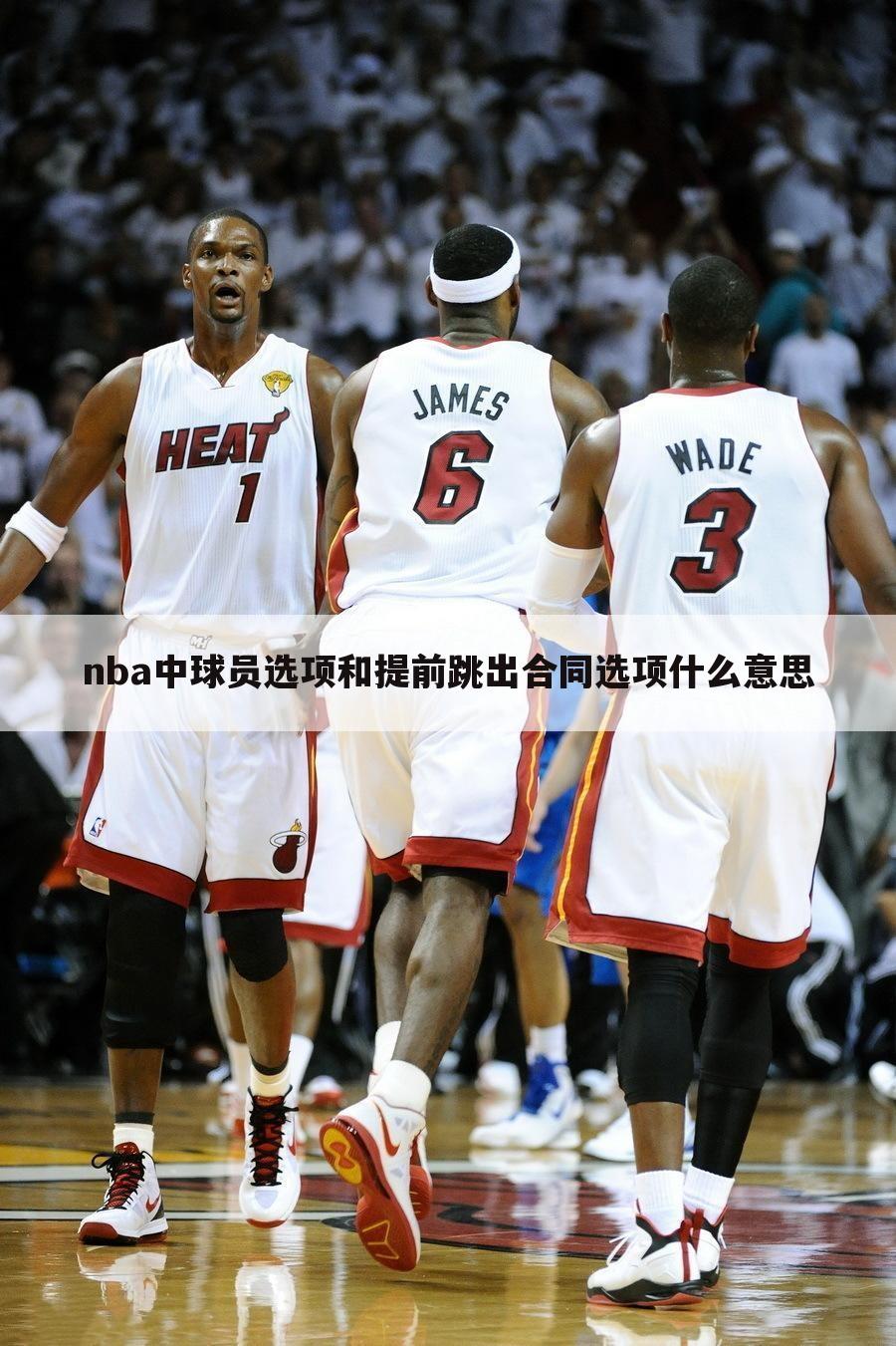 nba中球员选项和提前跳出合同选项什么意思