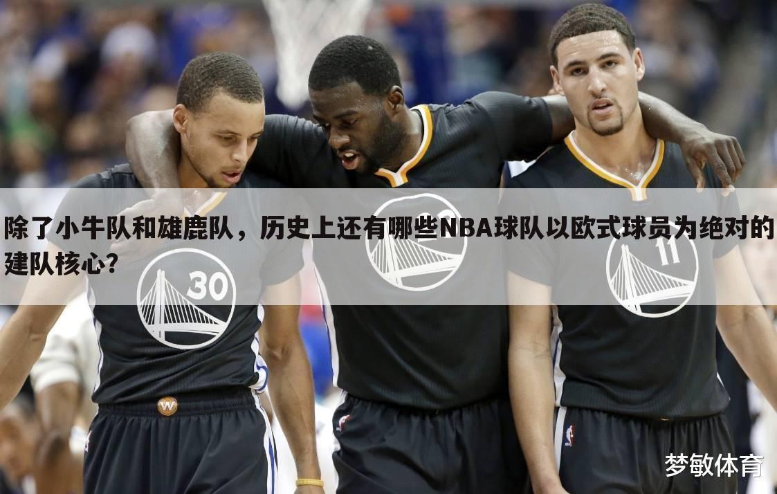 除了小牛队和雄鹿队，历史上还有哪些NBA球队以欧式球员为绝对的建队核心？