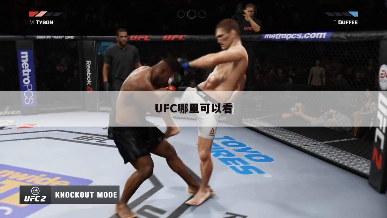 UFC哪里可以看