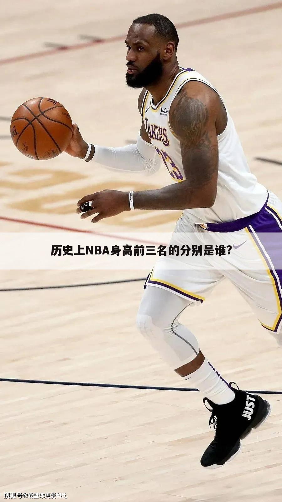 历史上NBA身高前三名的分别是谁?