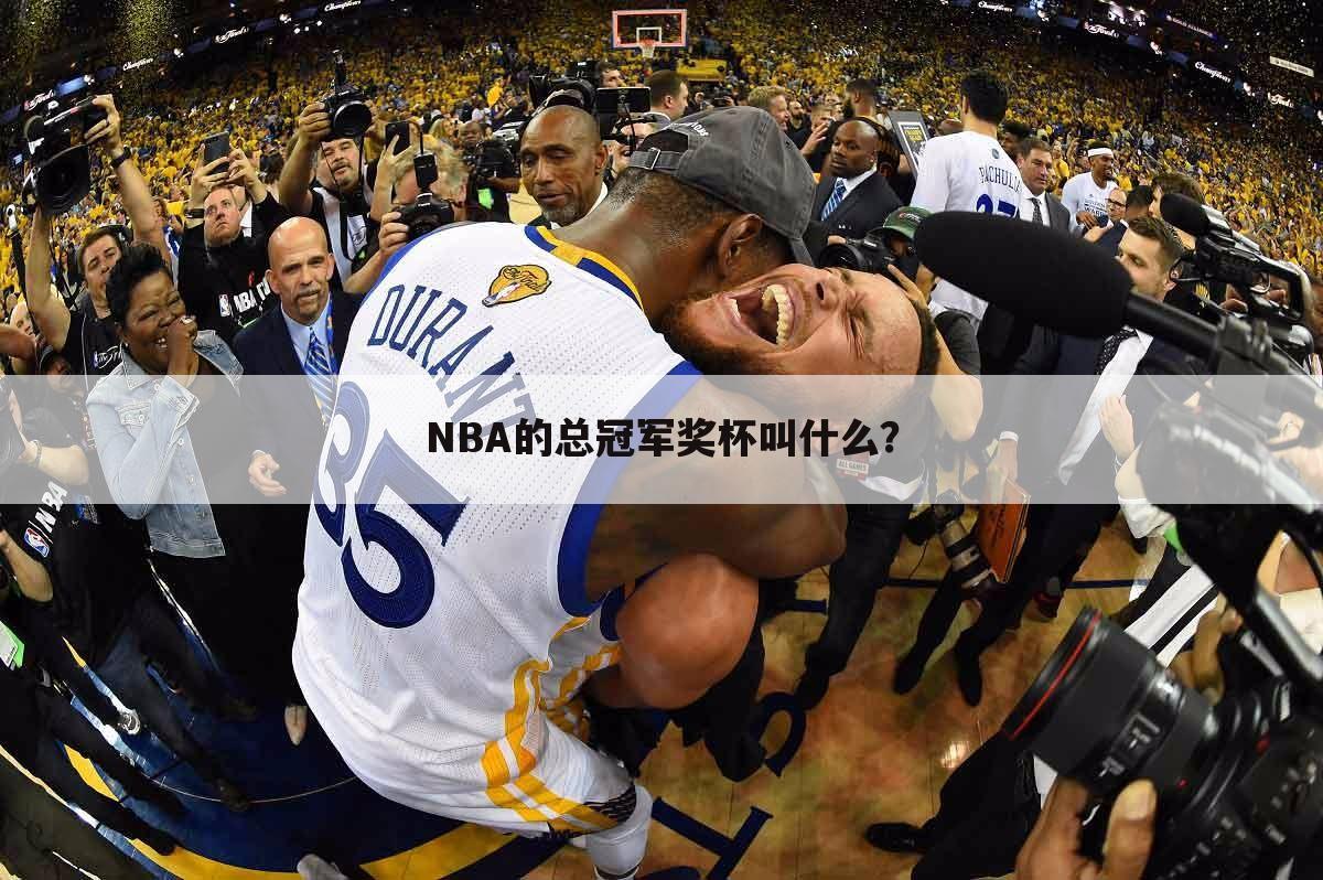 NBA的总冠军奖杯叫什么？