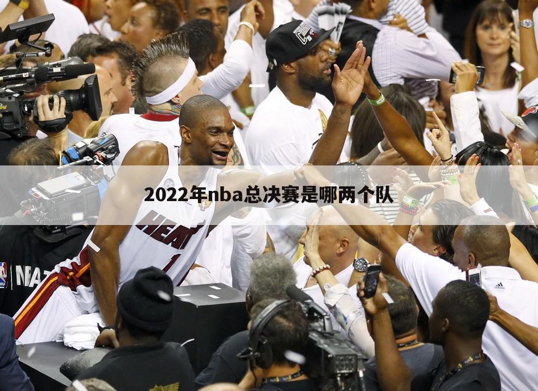 2022年nba总决赛是哪两个队