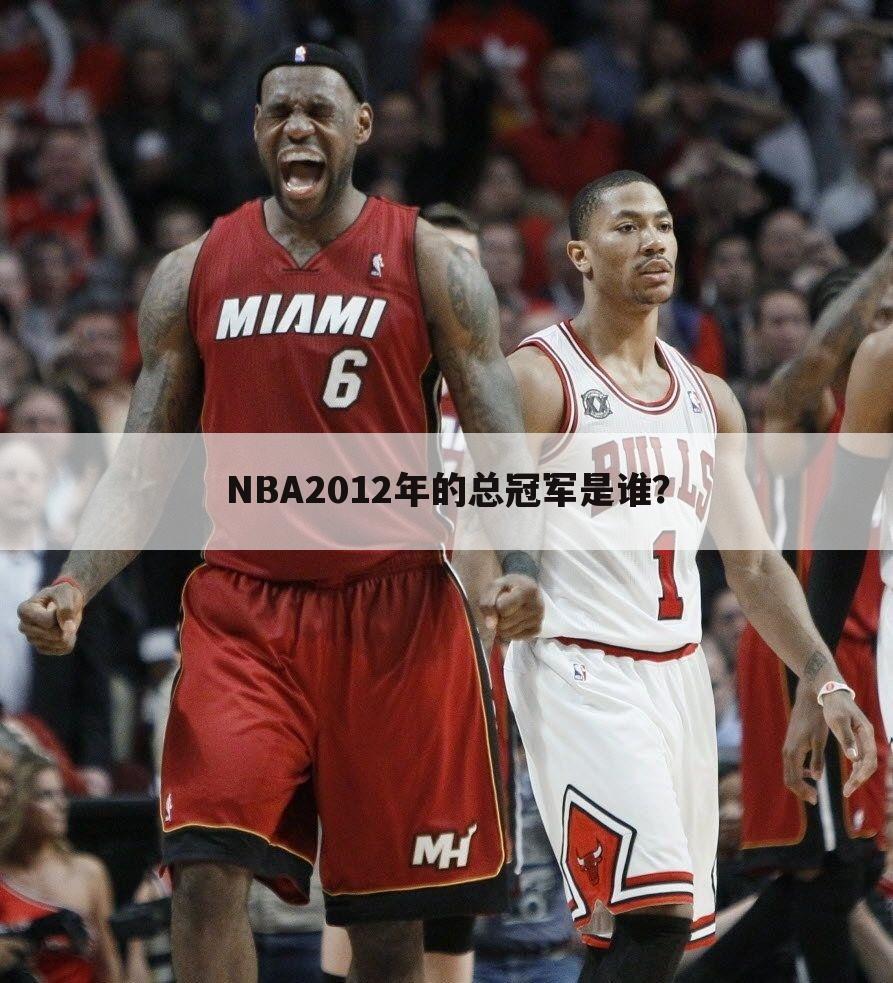 NBA2012年的总冠军是谁？