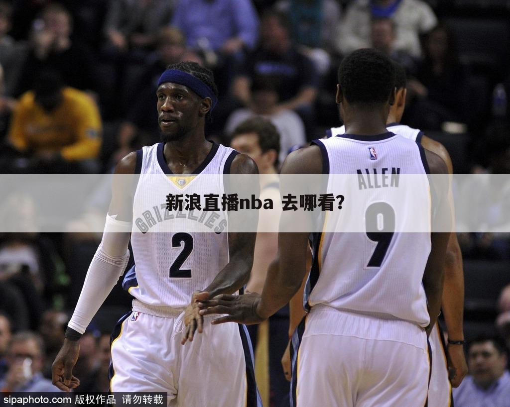 新浪直播nba 去哪看？