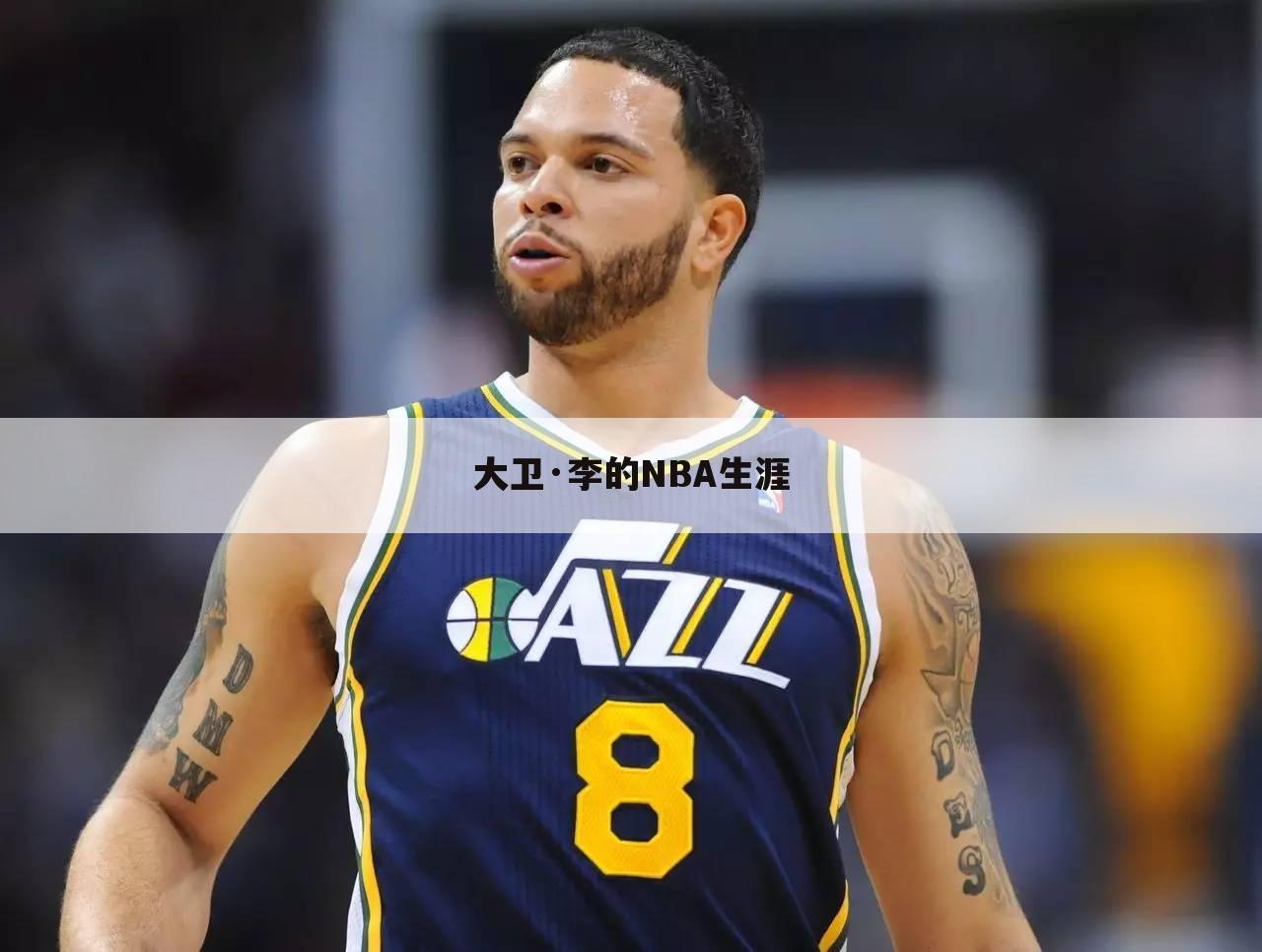 大卫·李的NBA生涯