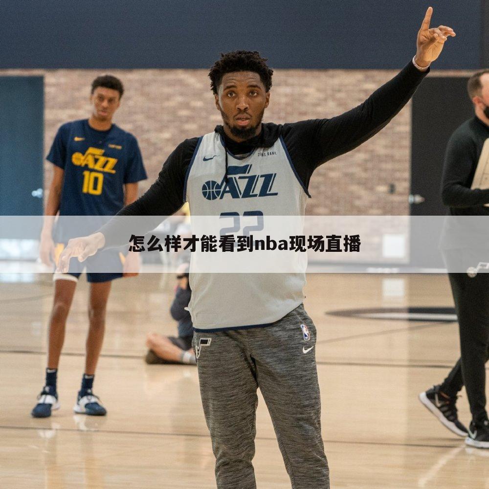 怎么样才能看到nba现场直播