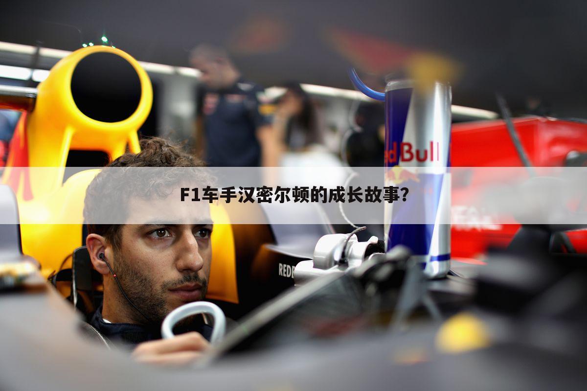 F1车手汉密尔顿的成长故事？