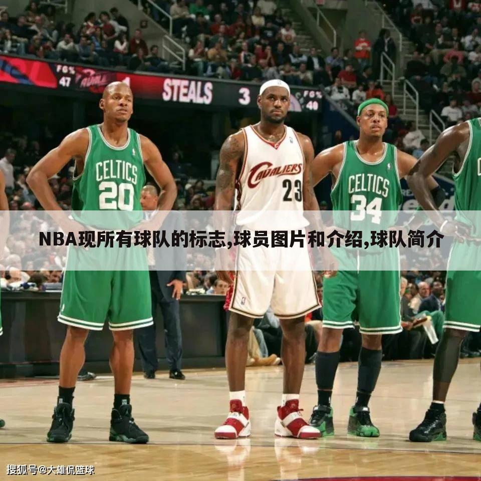 NBA现所有球队的标志,球员图片和介绍,球队简介