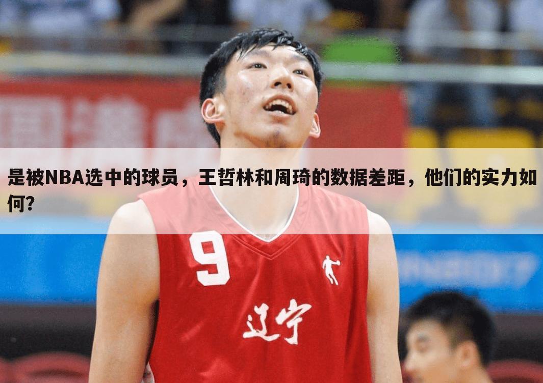 是被NBA选中的球员，王哲林和周琦的数据差距，他们的实力如何？