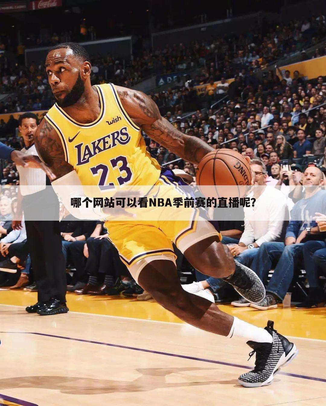 哪个网站可以看NBA季前赛的直播呢？