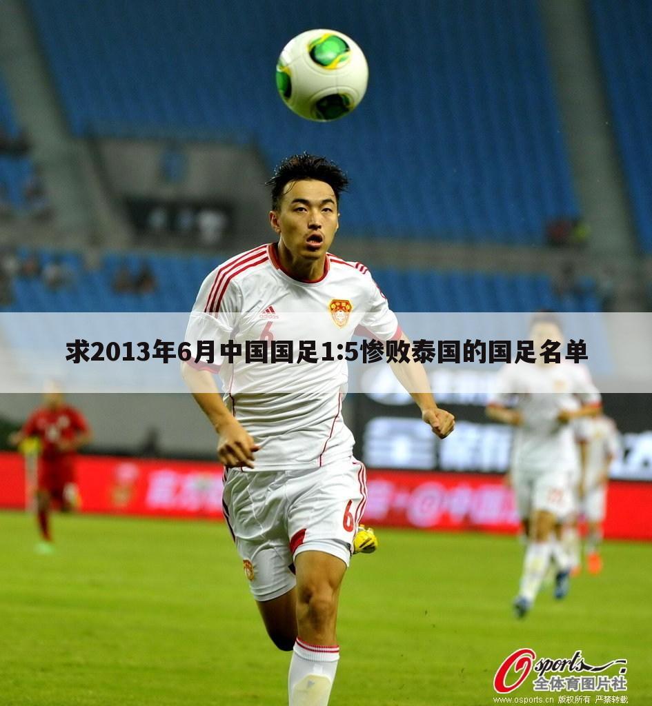 求2013年6月中国国足1:5惨败泰国的国足名单