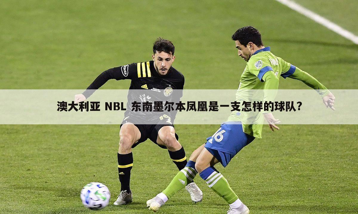 澳大利亚 NBL 东南墨尔本凤凰是一支怎样的球队?