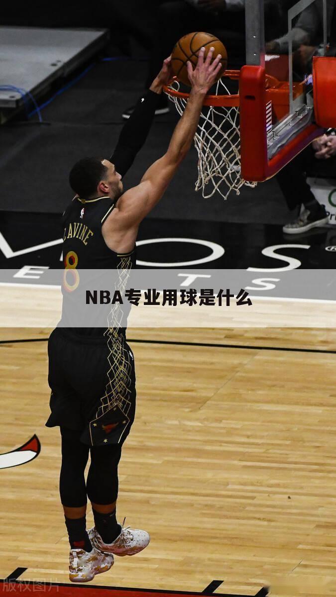 NBA专业用球是什么