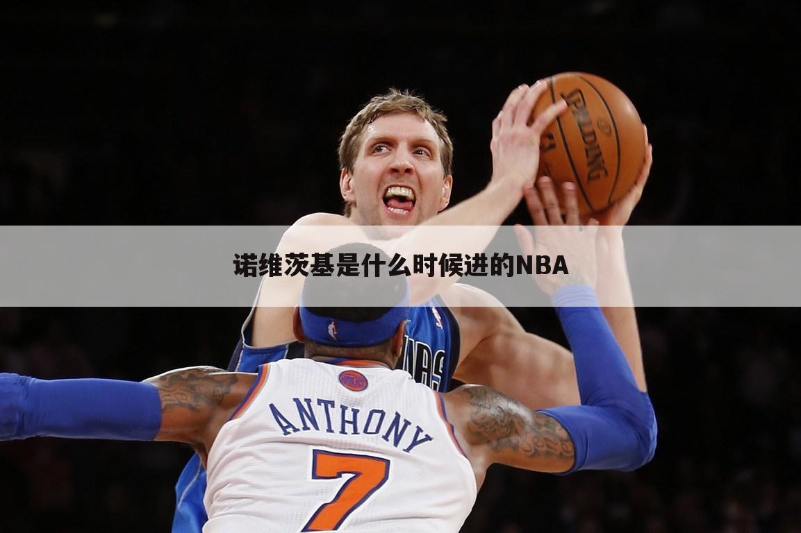 诺维茨基是什么时候进的NBA