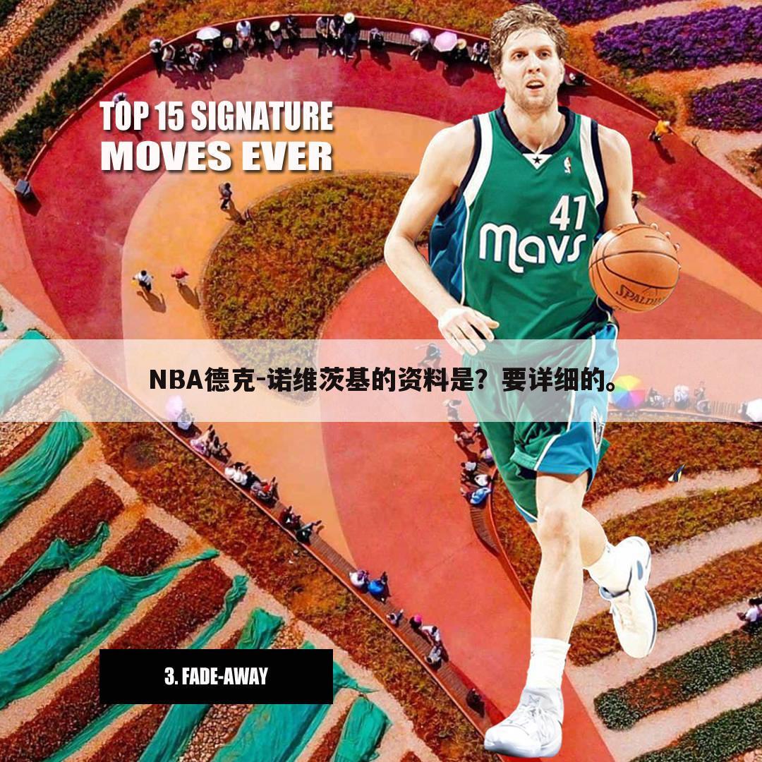 NBA德克-诺维茨基的资料是？要详细的。