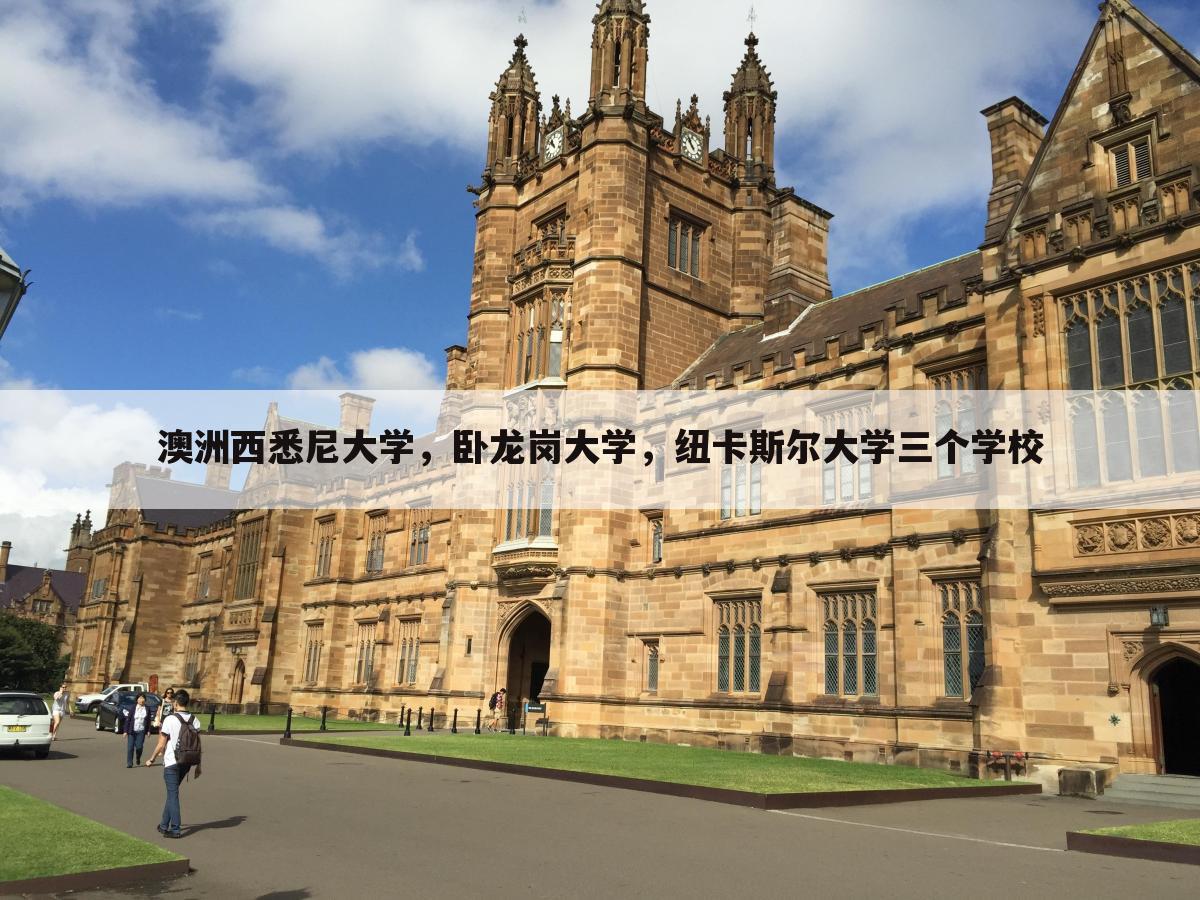 澳洲西悉尼大学，卧龙岗大学，纽卡斯尔大学三个学校