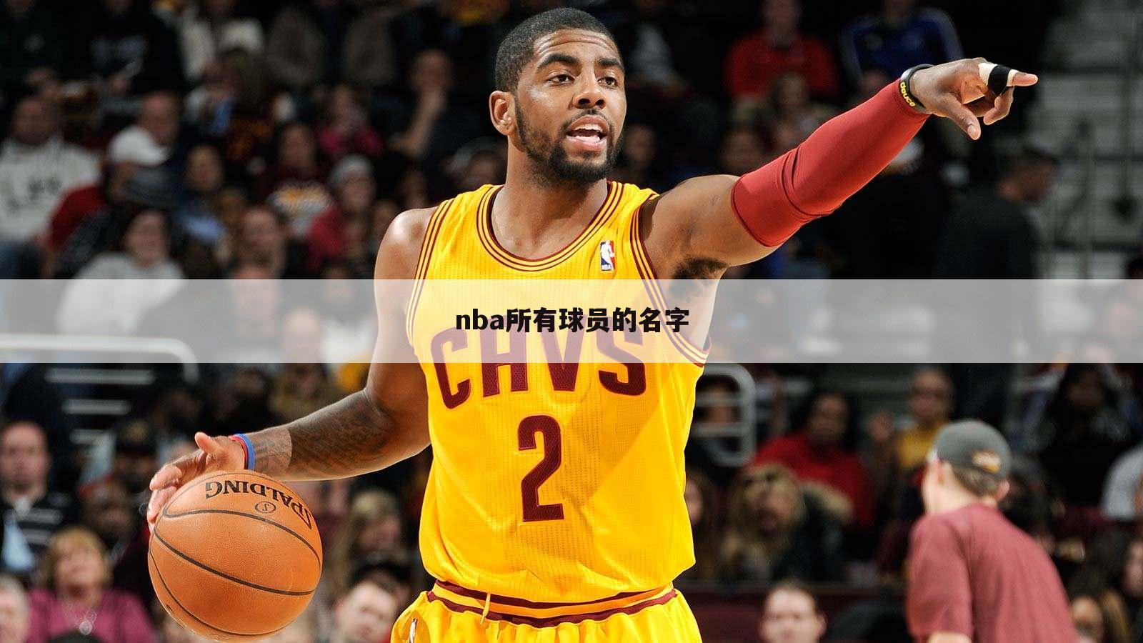 nba所有球员的名字