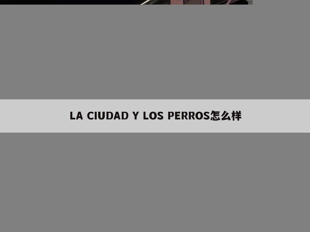 LA CIUDAD Y LOS PERROS怎么样