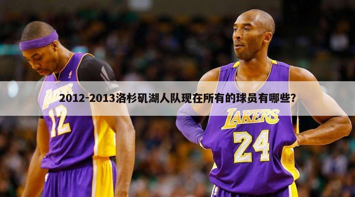 2012-2013洛杉矶湖人队现在所有的球员有哪些？