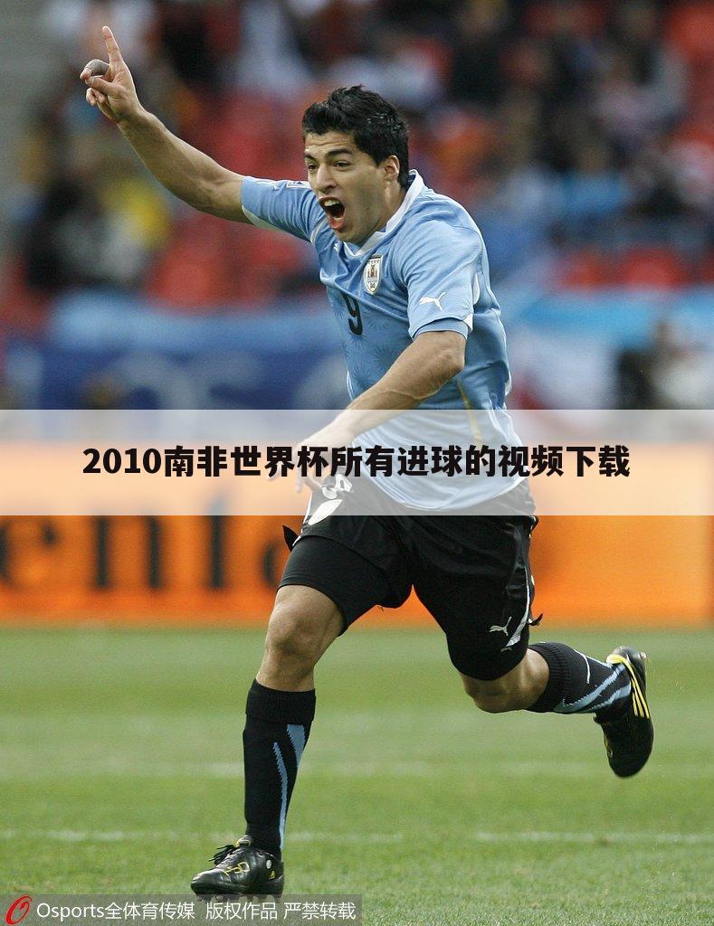 2010南非世界杯所有进球的视频下载