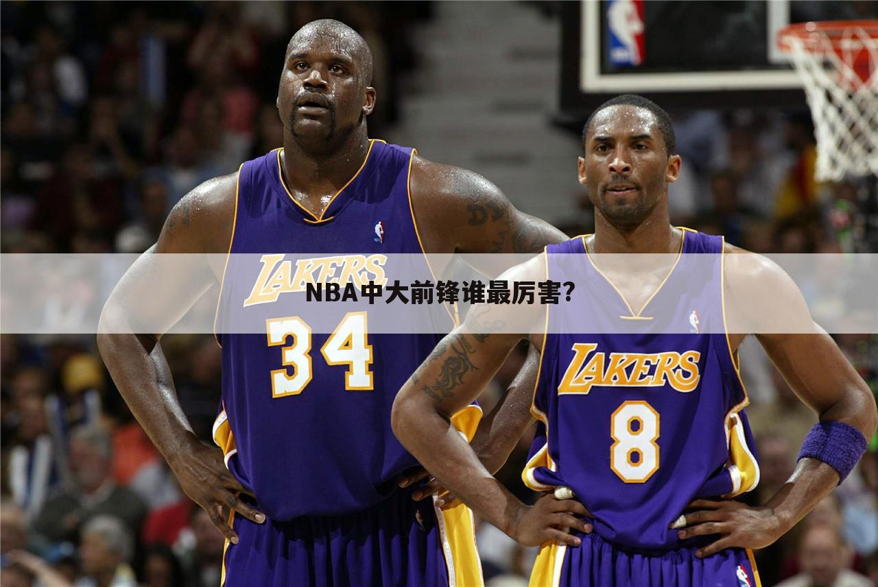 NBA中大前锋谁最厉害?