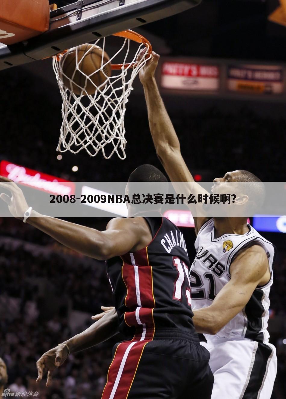 关于20082009nba总决赛的一些信息